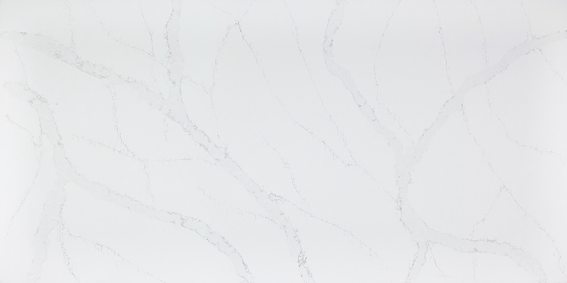 Calacatta Bianco