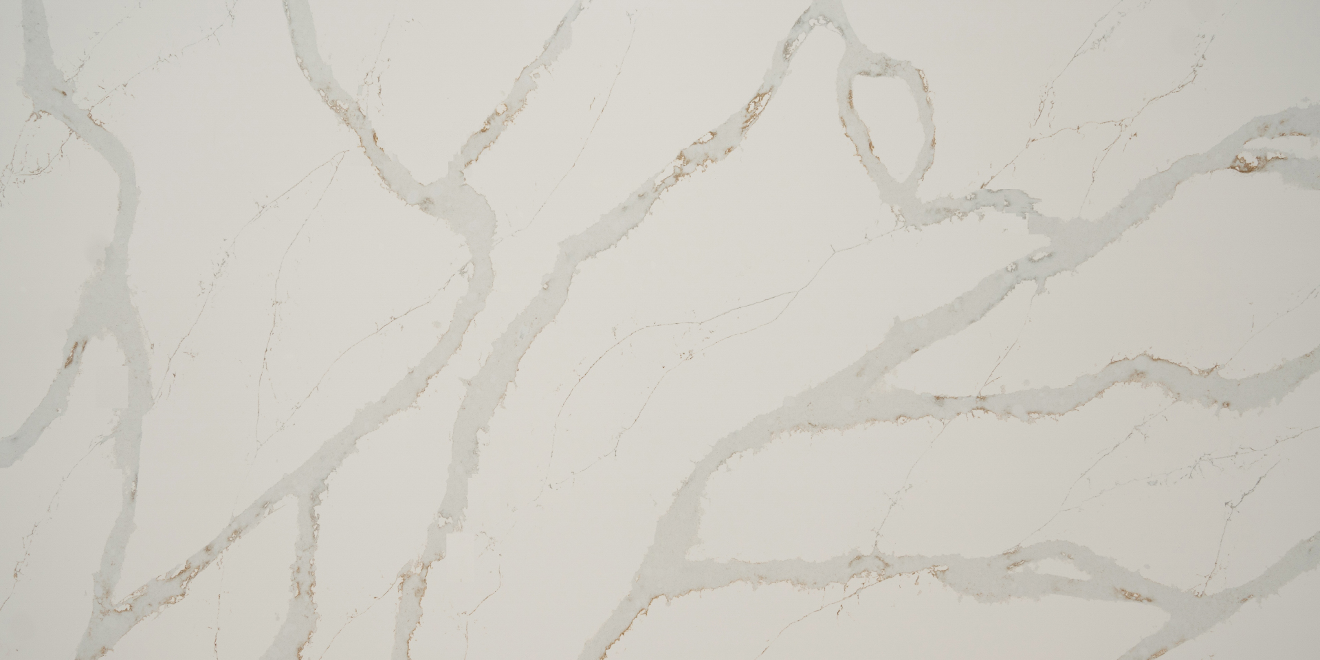 Buy Calacatta Capri Slab Online | Quantra Quartz