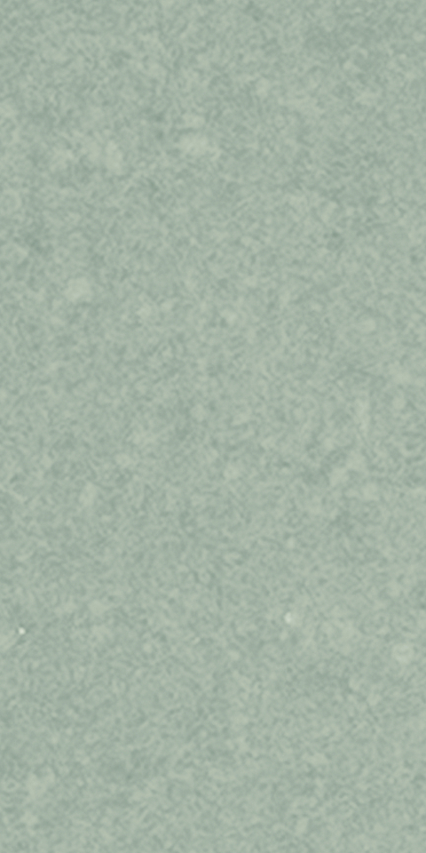 Sea Grey