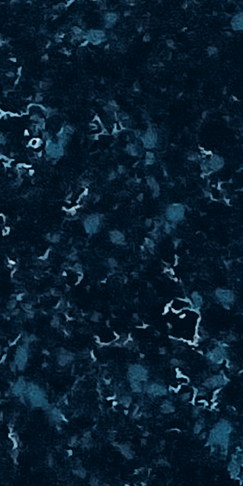 Aqua Marine